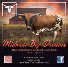 Midwest Big Dreams