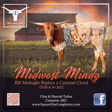 Midwest Mindy