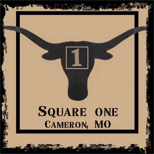 Square One Longhorns logo